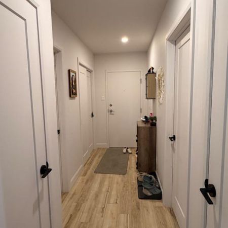 Logement 4 1/2 - Alma - Photo 4