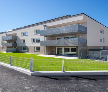 SCHEIBBS XXIII/1 - Photo 1