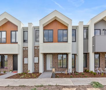 Brand New with 3 Bathrooms! - Photo 3