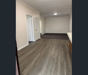 Huge Yard - Secure Fencing - Photo 6