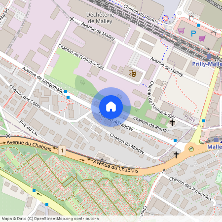 1020, Renens VD, Chemin De Rionza, 21