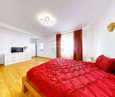 Comision 0 | Petfriendly | Stupini - Fotografie 4