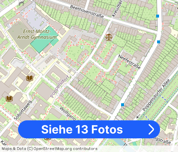 Möblierte 2-Zimmer Jugendstil-Wohnung in Schlossparknähe, mit Erker - Foto 1