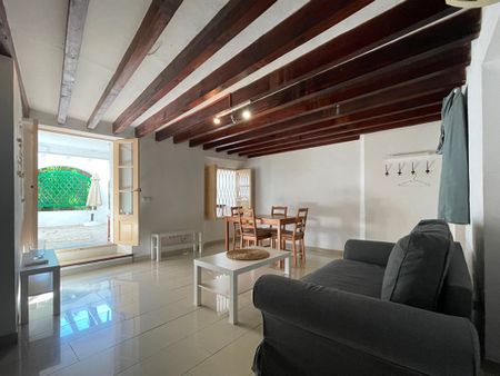 Centro Historico, apartamento un dormitorio amueblado con terraza, Paseo del Borne. - Photo 4