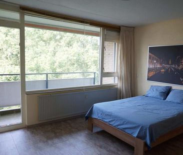 Tobias Asserlaan, Diemen, Nederland - Foto 5