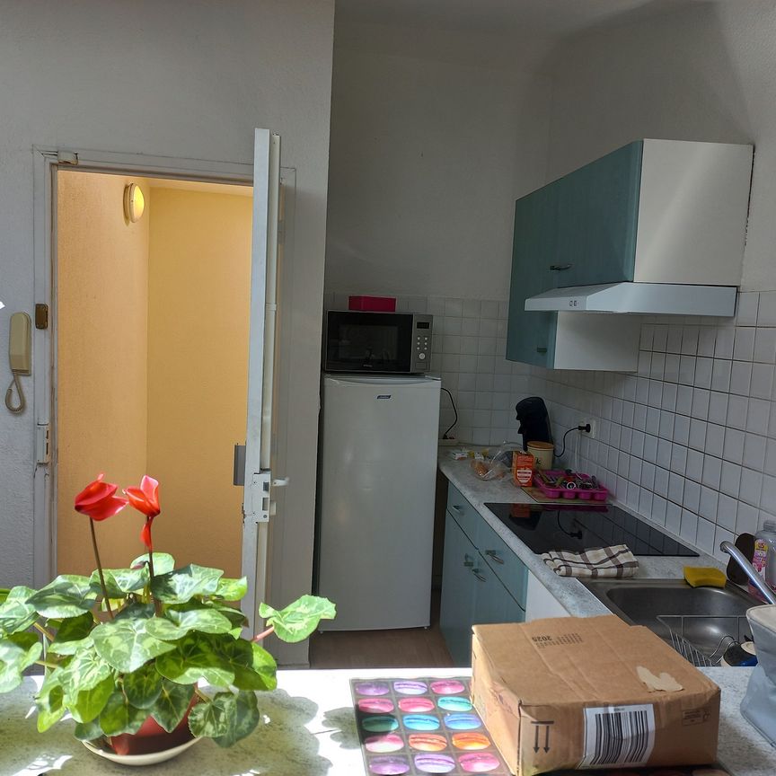 Location Appartement 2 pièces 33m² MURET 31600 - Photo 1