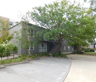 1/45 Rosanna Road, Heidelberg - Photo 3