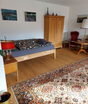 ONE-ROOM APARTMENT IN THUN (BE), FURNISHED, TEMPORARY - Photo 1