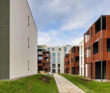 Lebensqualität im Neubaugebiet "Grünheide" - Stadtnah wohnen - im G... - Photo 3