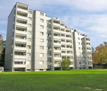 Familienfreundliche Wohnung in Greifensee - Photo 3