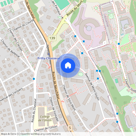 AV. MONT-GOULIN 41, 1008, Prilly