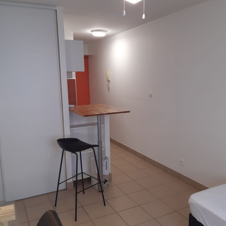 Location Appartement 1 pièce 20m² ST PIERRE 97410 - Photo 1