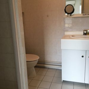 Appartement 1 pièce à Metz - Photo 3