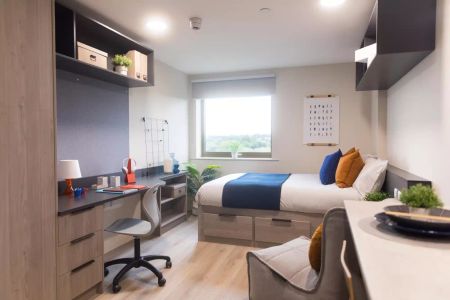 Standard Plus Studio - Photo 2