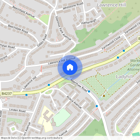 Chepstow Road, Newport