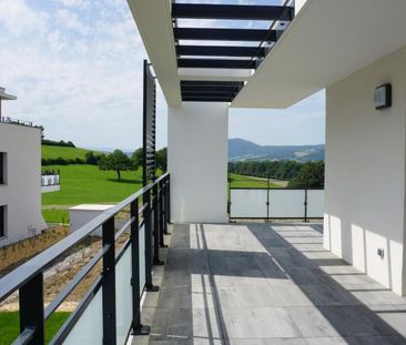 Location appartement 2 pièces - Photo 2