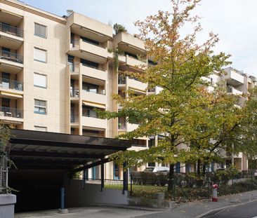 3 Zimmer, 55 m², 3. Stock - Photo 3