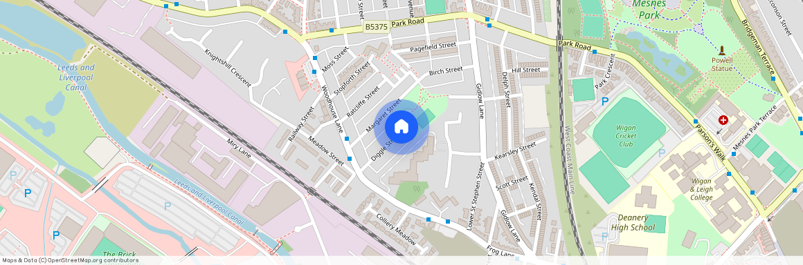 Diggle Street, Wigan, WN6