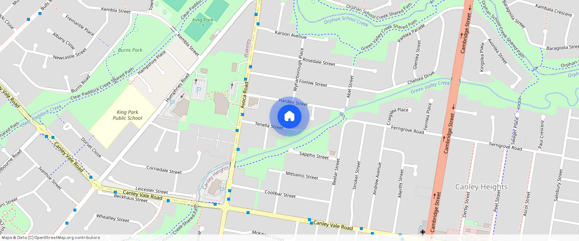 ** Tenella Street, Canley Heights, NSW 2166