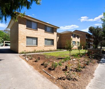 5/64 LAUNCESTON STREET, Lyons ACT 2606 - Apartment For Rent | Domain - Photo 3