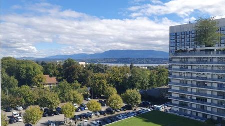 Appartement spacieux vue Lac et Parc - Photo 3