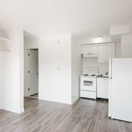 Semi-Renovated Spacious and Bright Studio (2 ½) in Rosemont - Photo 1