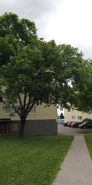 Bruksgatan 5 - Foto 2