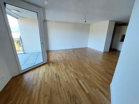 LE TICLE : Appartements neufs à louer - Photo 2