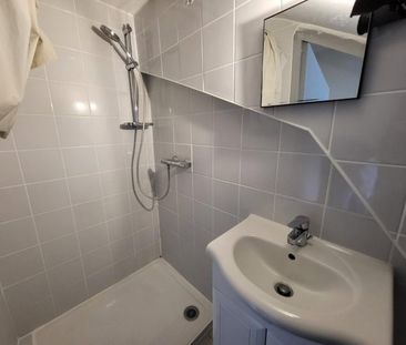 Appartement à louer, 1 pièce - Angers 49100 - Photo 4