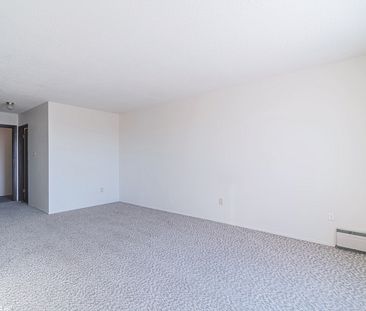 1 Bedroom - Photo 4