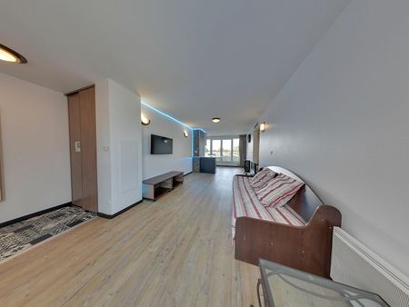 Haut d'IDRON, Dernier étage avec Terrasse Vue PYRENEES, Superbe T3 Meublé avec 2 chambres, - Photo 3