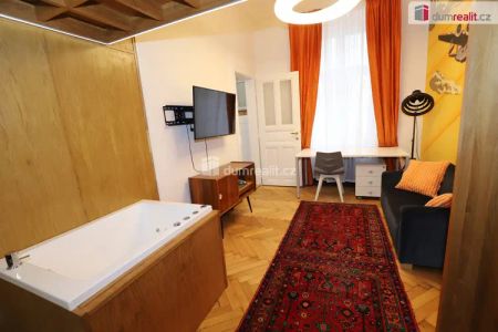 Nádherný stylový byt 1+1 v centru Prahy s vestavěným patrem na spaní a geniem loci - Photo 5