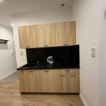 Kraków ul. Botaniczna do wynajęcia - Photo 3