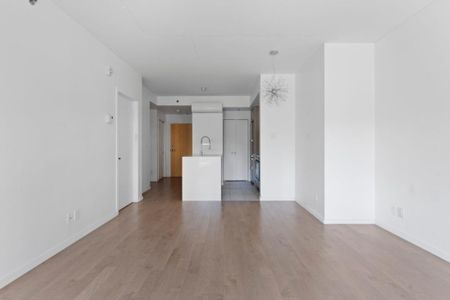 Appartement à louer - Montréal (Ville-Marie) (Centre Ouest) - Photo 3