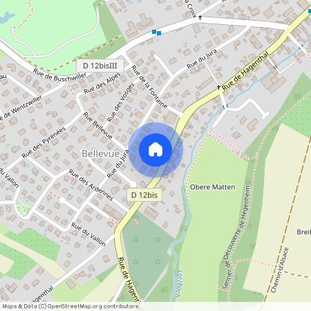 GRAND-EST, HAUT-RHIN (68), 68220, Hagenthal Le Bas