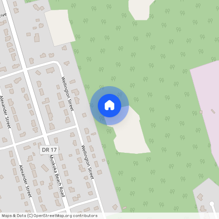 240 Beechwood Forest Lane, Gravenhurst