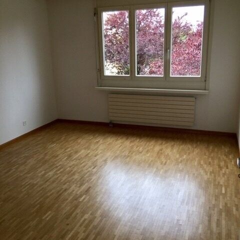 Hier endet Ihre Wohnungssuche - Foto 1