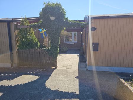 Folksångsgatan, Malmö - Foto 4