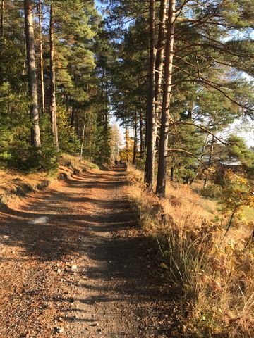 Sjöviksvägen, Tyresö - Photo 3