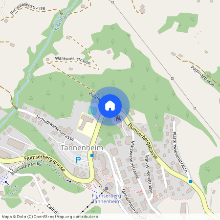 8897, Flums, Flumserbergstrasse