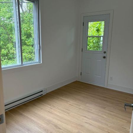 4-1/2 insonorisé libre maintenant chien accepté - Photo 4