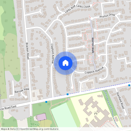 Coppice Avenue, Ferndown