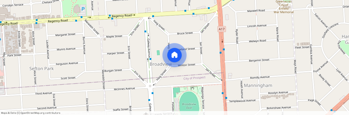 17 Haig Street, SA 5083, Broadview