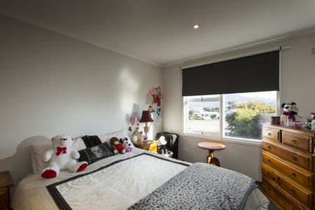 Lovely weatherboard Family home - Photo 3