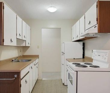 Oakridge House - 1 Bedroom - Available Now - Photo 2