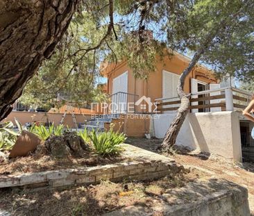 Μονοκατοικία για ενοικίαση - Ραφήνα, - Φωτογραφία 4