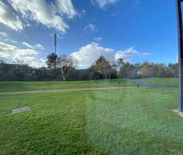 Ellerman Road, Liverpool - Photo 4