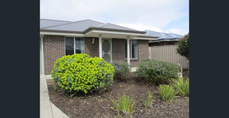 Great Western Location! - Photo 4