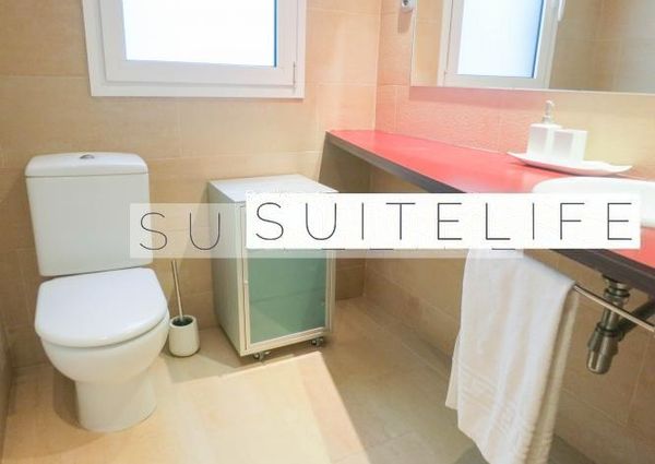 Monsieur Van Damme Lives Upstairs