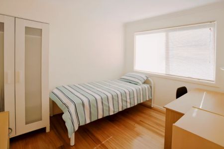 SH1 Small/Medium - Photo 3